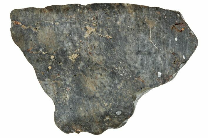 Lunar Meteorite ( g) Slice - Laayoune #291642